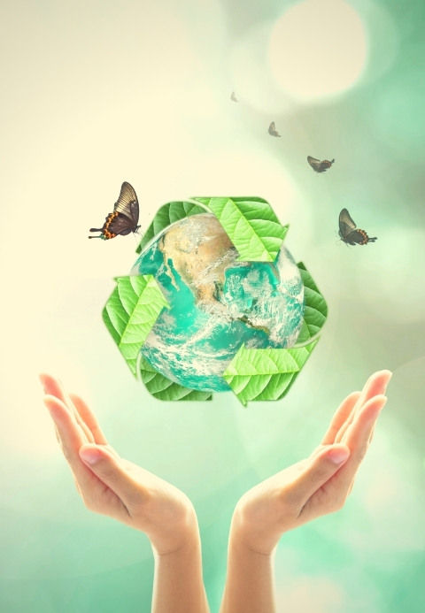 Environment friendly laundry detergent